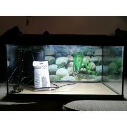 54 litre tetra fish tank
