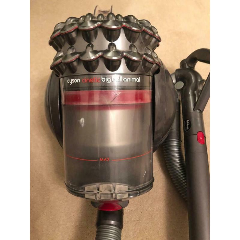 Dyson Cinetic Big Ball Animal vacuum cleaner