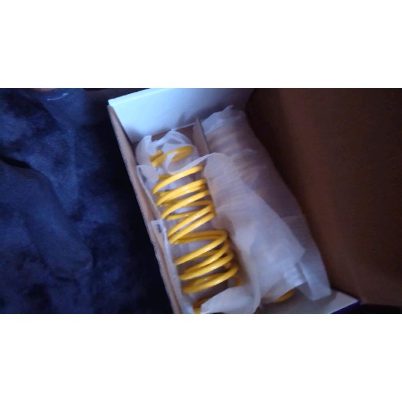Ford fiesta mk7 lowering springs 30mm