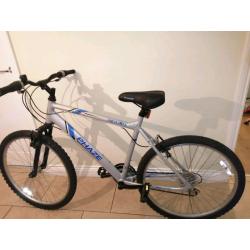 Apollo men's bike
