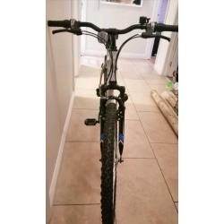 Apollo men's bike