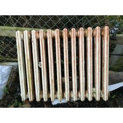 Cast Iron Radiator