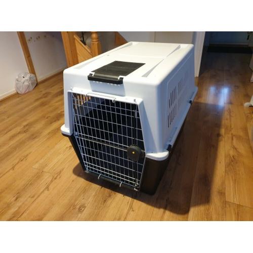 Large Dog Container
