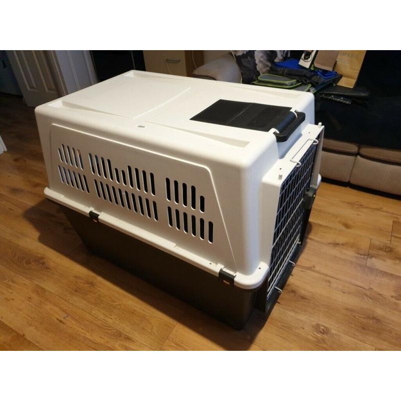 Large Dog Container