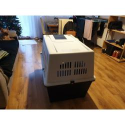 Large Dog Container