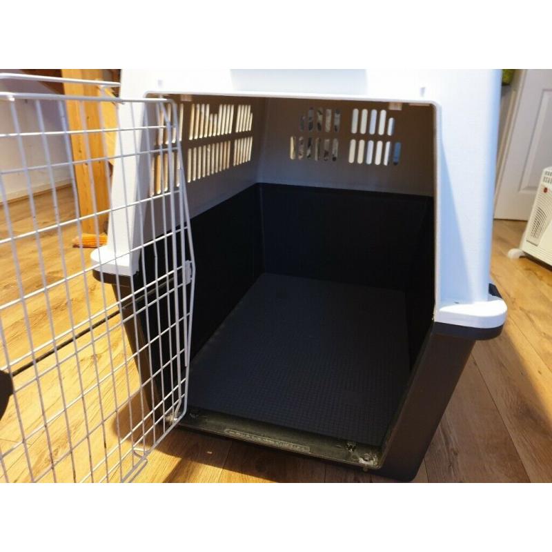 Large Dog Container