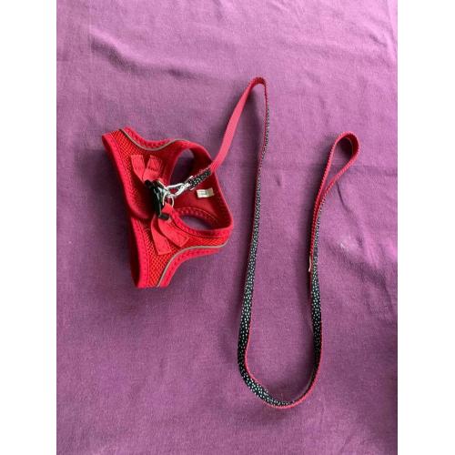Puppy harness and leash