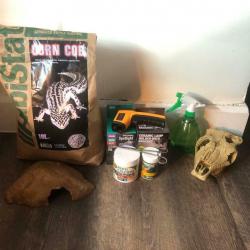 Bearded dragon and full setup