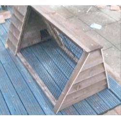 Guinea pig run