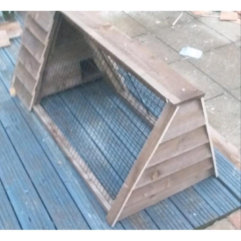 Guinea pig run