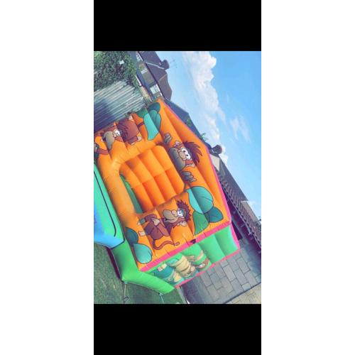 Bouncy castle 10 x 10 ft
