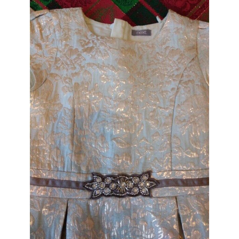 Next Girls Christmas Dress Aged 8yrs