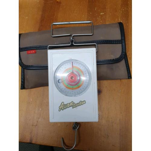 Fishing scales