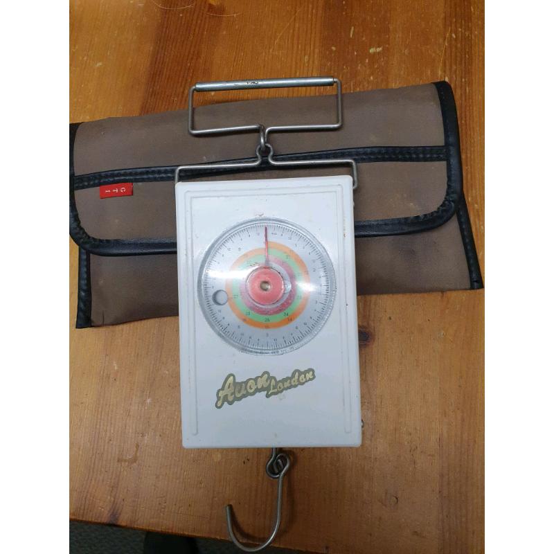 Fishing scales