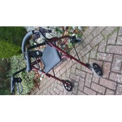 Mobility walker with storage
