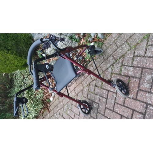 Mobility walker with storage