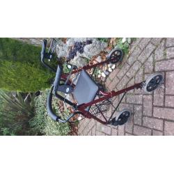 Mobility walker with storage