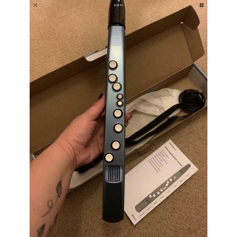 Roland mini saxophone AE01