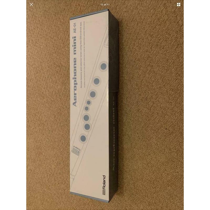 Roland mini saxophone AE01