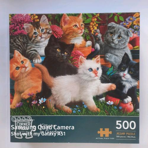 Kittens in Garden