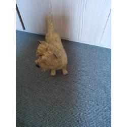 Cairn Terrier standing 10 inches across, height 7 inches . Vgc