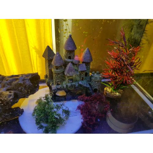 Aquarium 200L