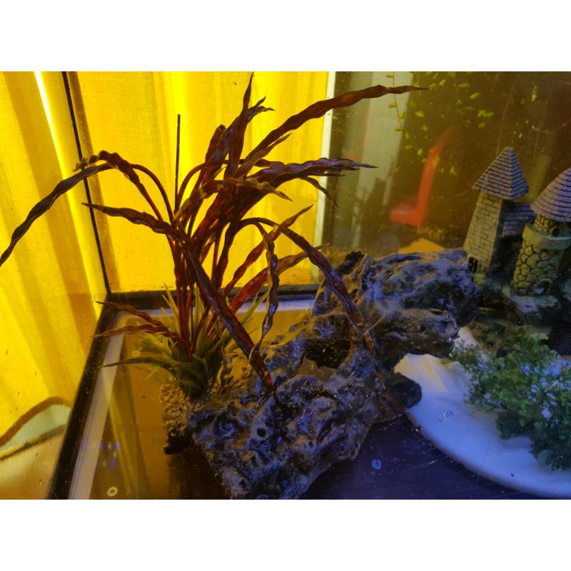 Aquarium 200L