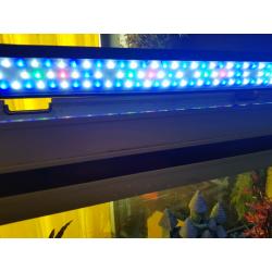 Aquarium 200L