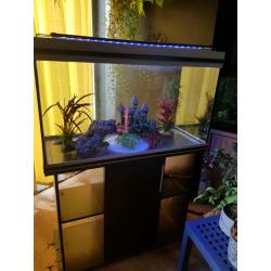 Aquarium 200L