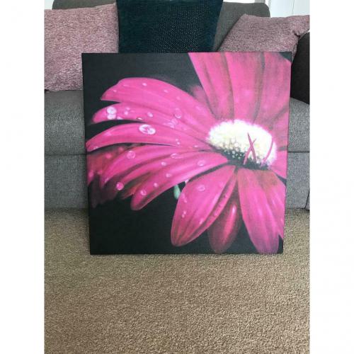 Canvas picture FREE !