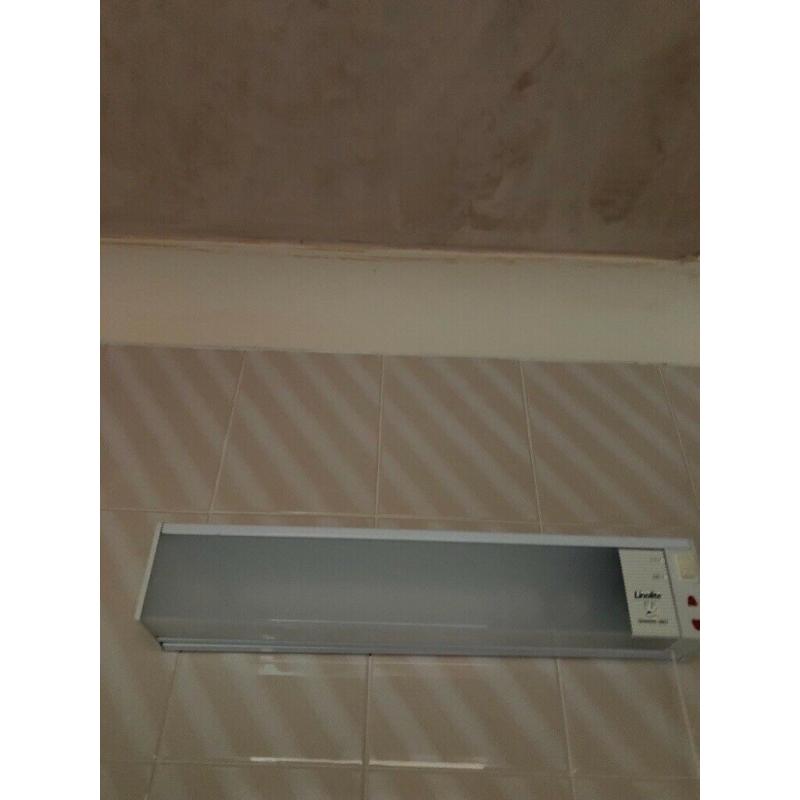 Bathroom Linolite shaver light