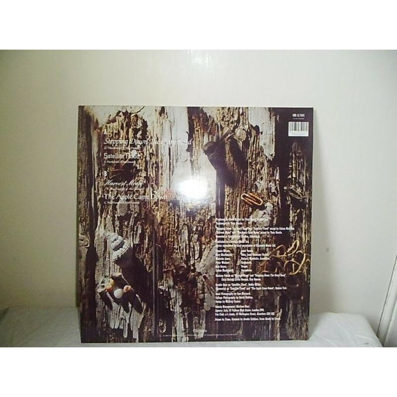 RUNRIG 'CAPTURE THE HEART' 1990 VINYL 12'' SINGLE